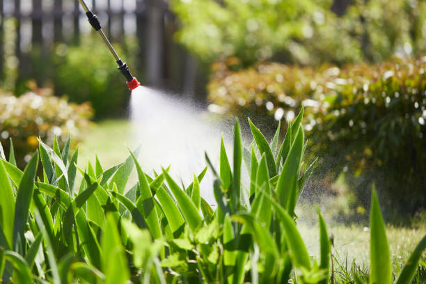 Tamper-Resistant Bait Stations for Rodents in Sheridan