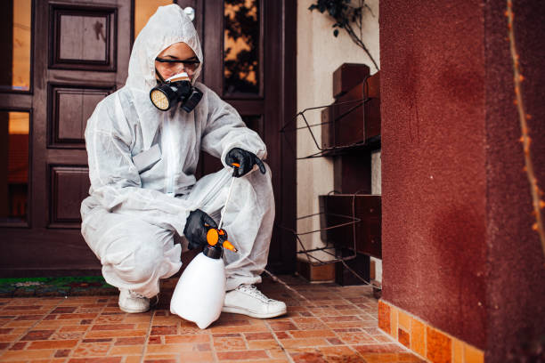 Attic and Crawl Space Rodent Treatment in Sheridan